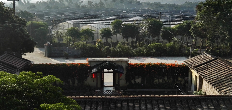 种植基地外景