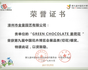 Green Chocolate姜荷花银奖